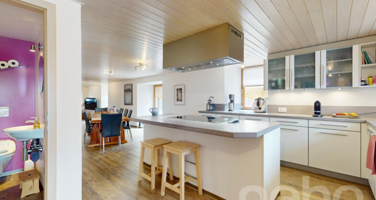 Bâtisse de caractère entièrement rénovée en 2011 avec grand jardin ! image 4