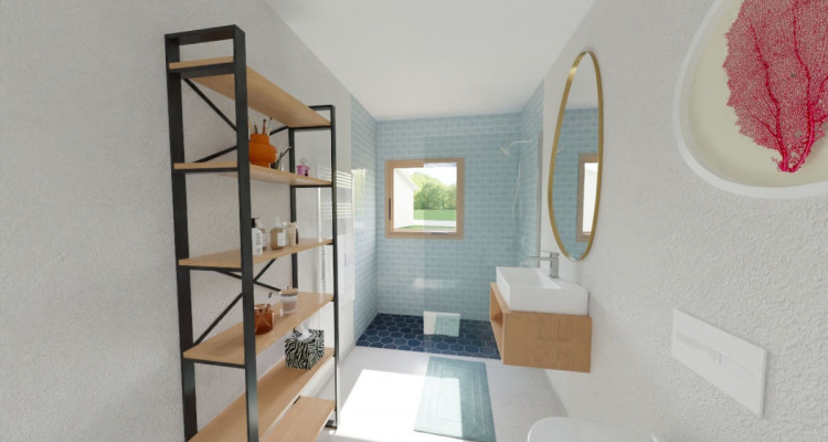 Appartement 2.5 pièces / D02 image 4