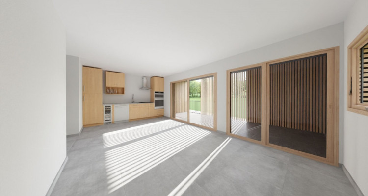 Appartement 2.5 pièces / D11 image 1