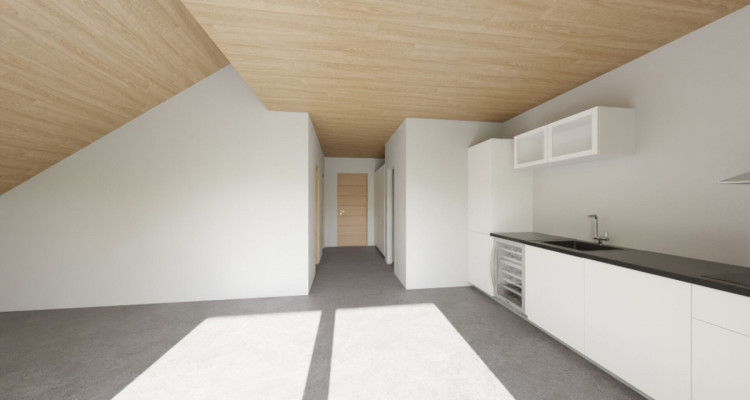 Appartement 2.5 pièces / D21 image 1