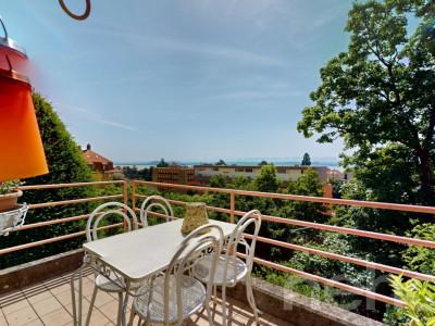 Maison familiale de deux appartements avec grand jardin arboré image 8