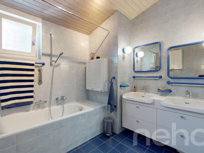 Maison familiale de deux appartements avec grand jardin arboré image 10