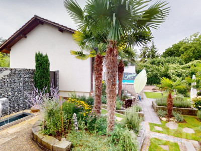 Einzigartige Gartenwohnung mit Aussenpool image 3