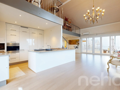 Spacieux duplex avec mezzanine et deux terrasses image 3