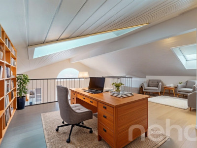 Spacieux duplex avec mezzanine et deux terrasses image 1