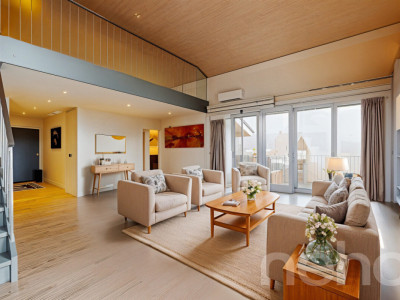 Spacieux duplex avec mezzanine et deux terrasses image 5