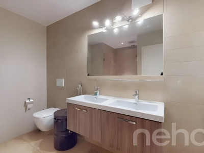 Spacieux duplex avec mezzanine et deux terrasses image 7