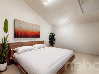 Spacieux duplex avec mezzanine et deux terrasses image 8