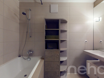 Spacieux duplex avec mezzanine et deux terrasses image 9