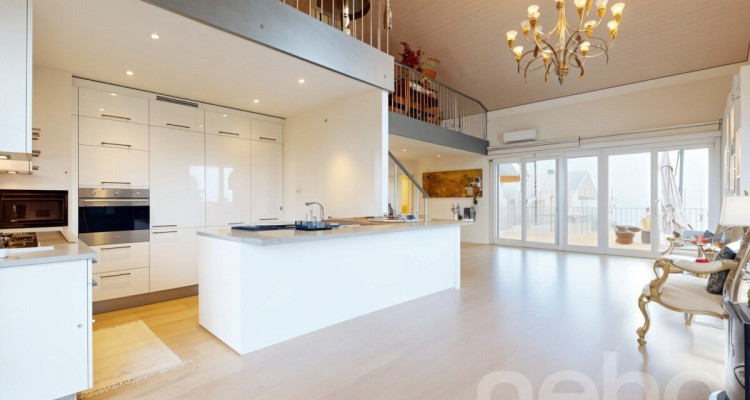 Spacieux duplex avec mezzanine et deux terrasses image 3