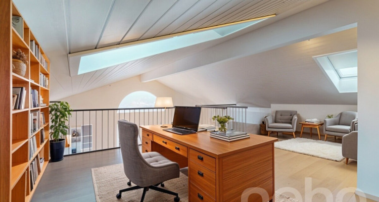 Spacieux duplex avec mezzanine et deux terrasses image 1