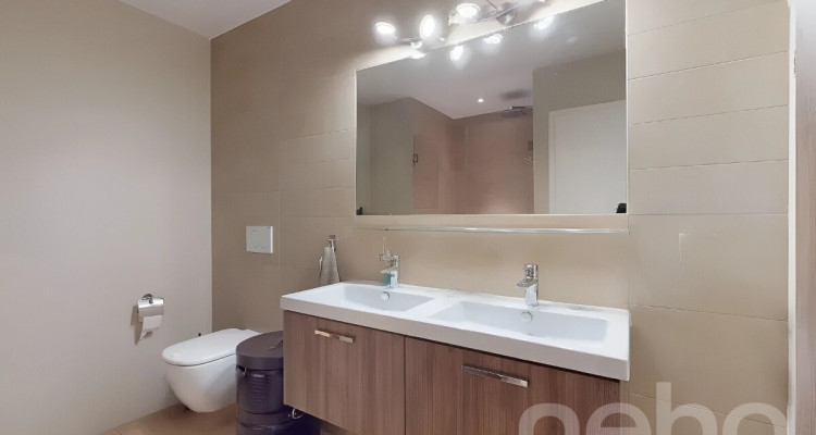 Spacieux duplex avec mezzanine et deux terrasses image 7