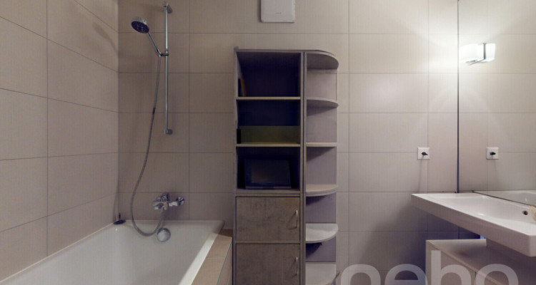 Spacieux duplex avec mezzanine et deux terrasses image 9