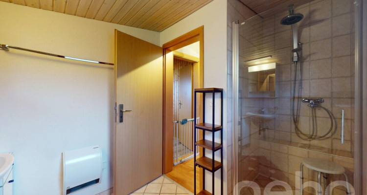 Charmantes Einfamilienhaus mit grossem Umschwung image 9