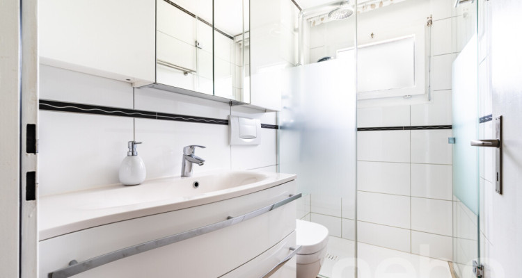 Moderne Doppelhaushälfte mit grossem Umschwung image 8