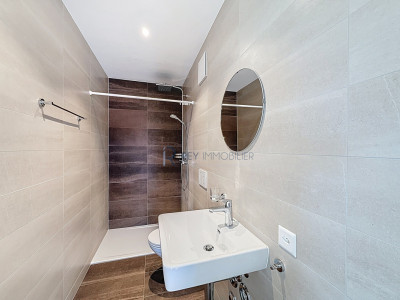 Attique lumineux au centre du village image 10