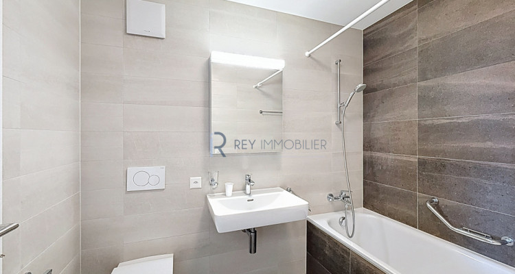 Attique lumineux au centre du village image 7