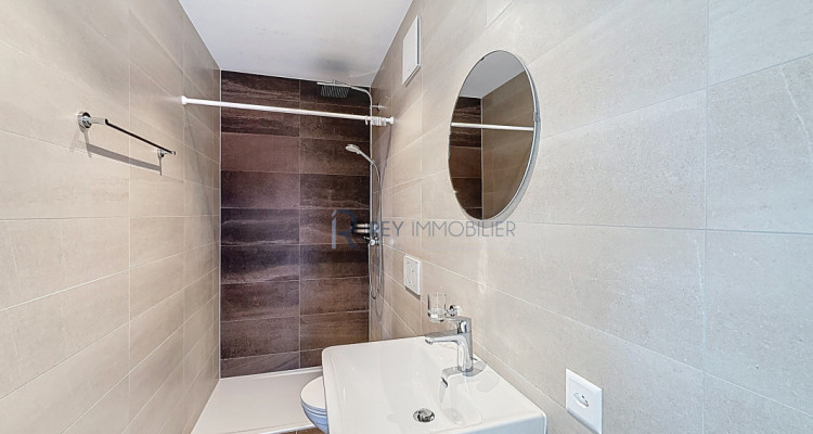 Attique lumineux au centre du village image 10