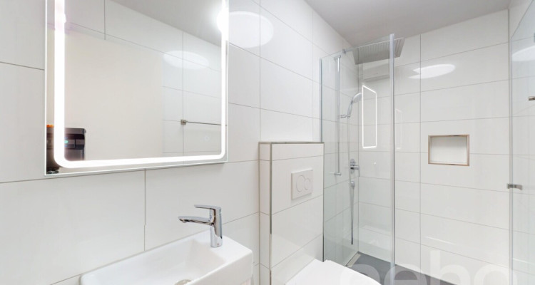 Moderne und renovierte Maisonette-Wohnung mit Gartensitzplatz image 7