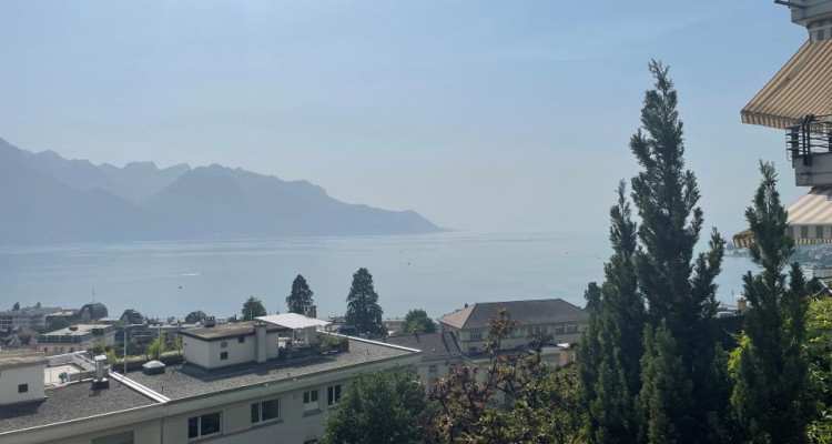 UNIQUE - GRANDE TERRASSE + CALME + VUE image 1