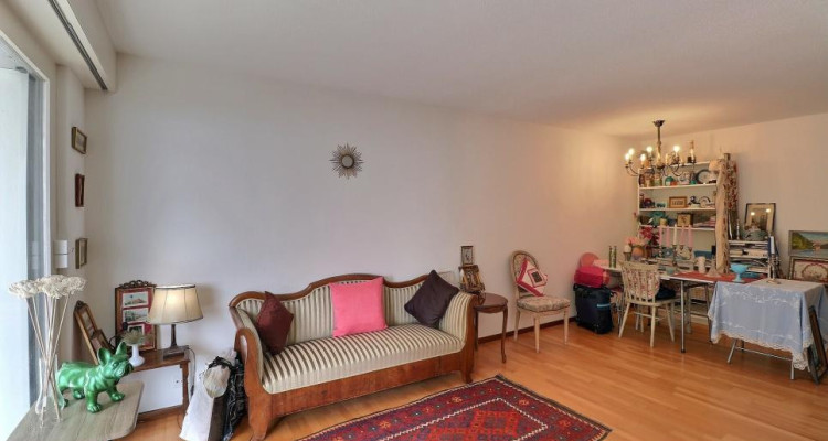 UNIQUE - GRANDE TERRASSE + CALME + VUE image 5