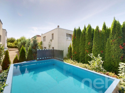 Helles Familienhaus mit Gartenparadies image 2