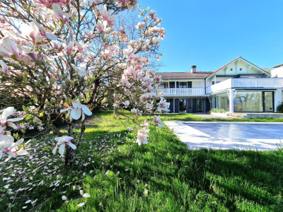 Villa Azur, magnifique piscine et jardin, pompe à chaleur, Bellevue image 5
