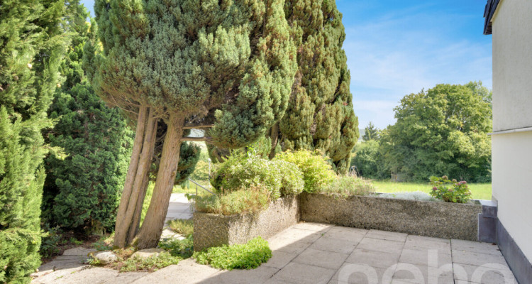 Ihr neues Zuhause mit viel Platz, Garten und Aussicht image 10
