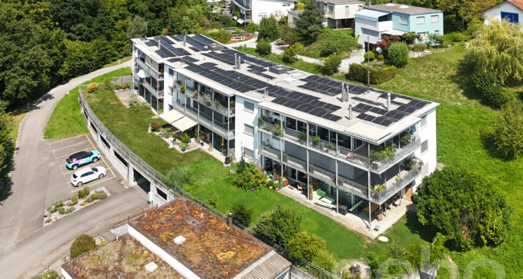 Lichtdurchflutete Terrassenwohnung mit Weitblick & Komfort image 1