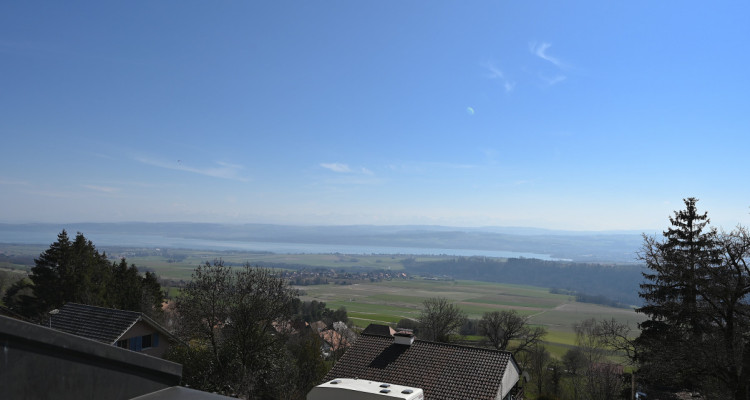 GRANDEVENT - CHARMANT DUPLEX AVEC MAGNIFIQUE VUE PANORAMIQUE  image 6