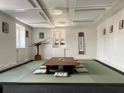 2 belles surfaces dentrainement à louer  image 1