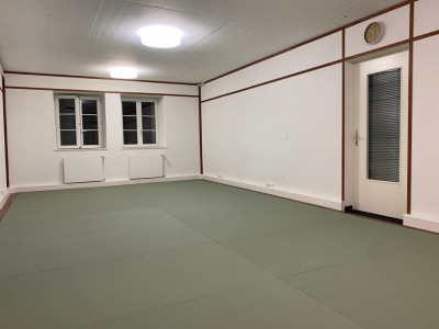 2 belles surfaces dentrainement à louer  image 4