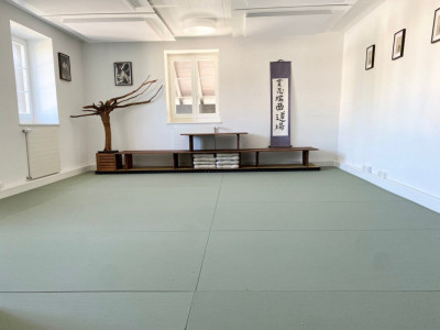 2 belles surfaces dentrainement à louer  image 3