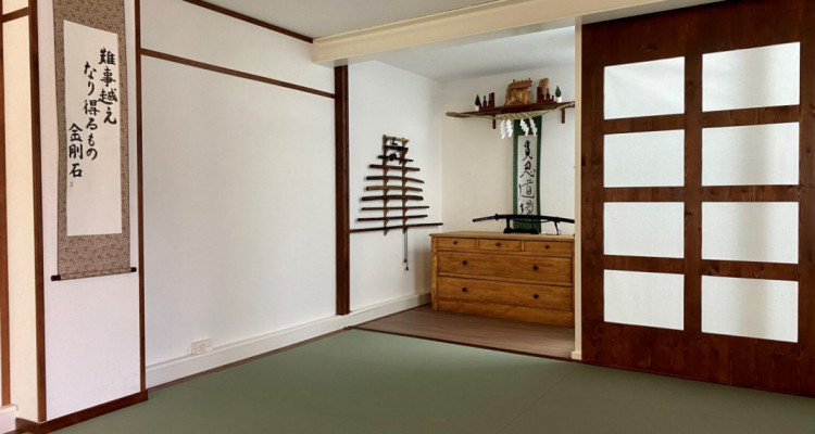 2 belles surfaces dentrainement à louer  image 2