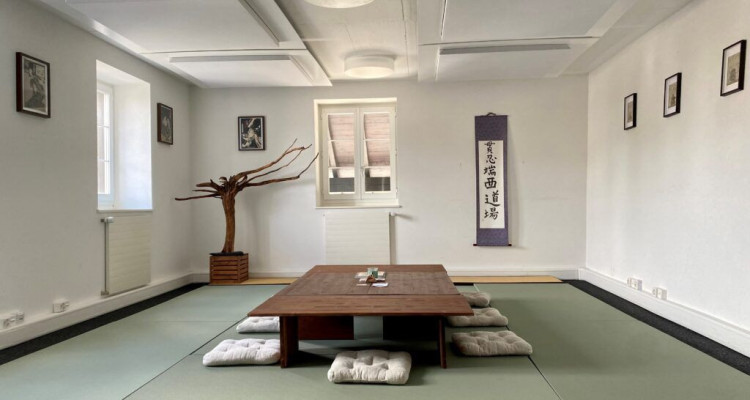 2 belles surfaces dentrainement à louer  image 1