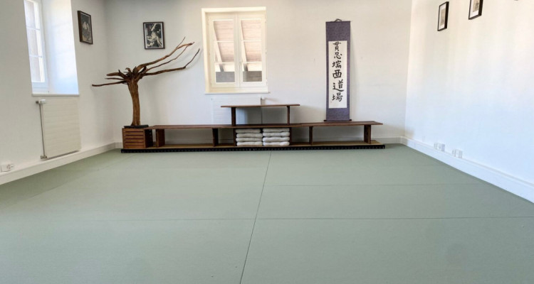 2 belles surfaces dentrainement à louer  image 3