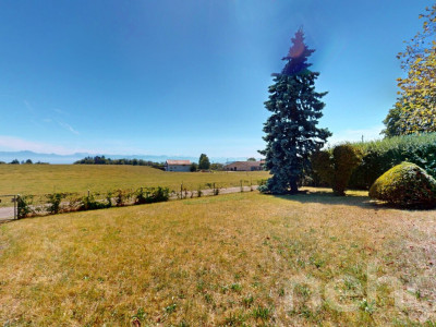 Charmante maison avec jardin, vue sur la campagne et fort potentiel image 1
