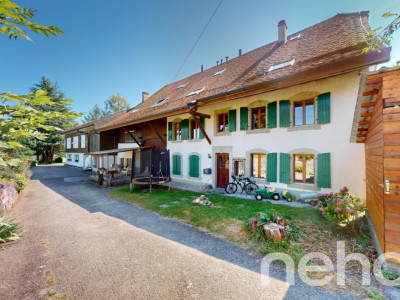 Charmant duplex de 3.5 pièces avec jardin commun image 10