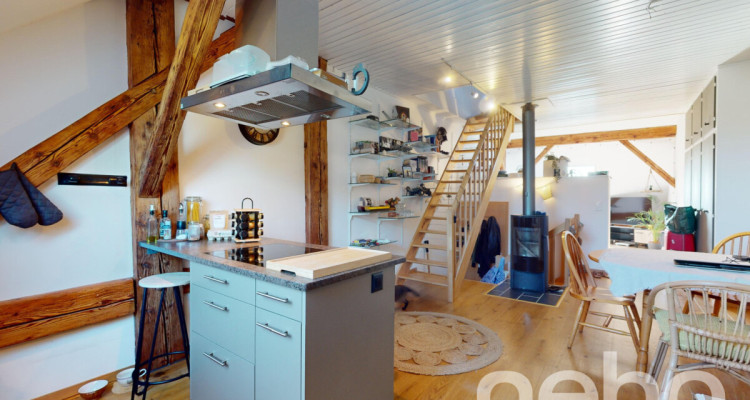 Charmant duplex de 3.5 pièces avec jardin commun image 1