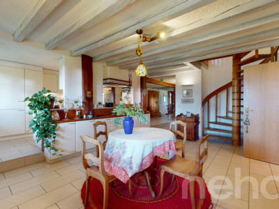 Duplex d?exception de 5.5 pièces avec jardin commun image 7