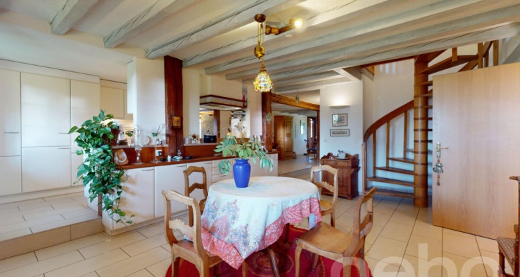 Duplex d?exception de 5.5 pièces avec jardin commun image 7