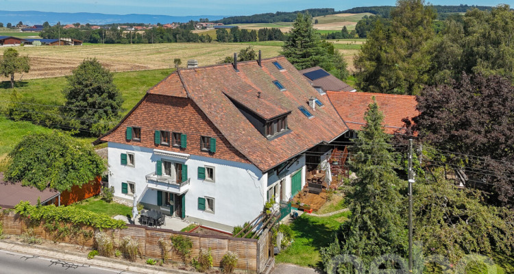 Duplex d?exception de 5.5 pièces avec jardin commun image 8