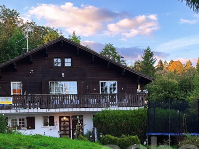 Chalet familial avec grand jardin image 3