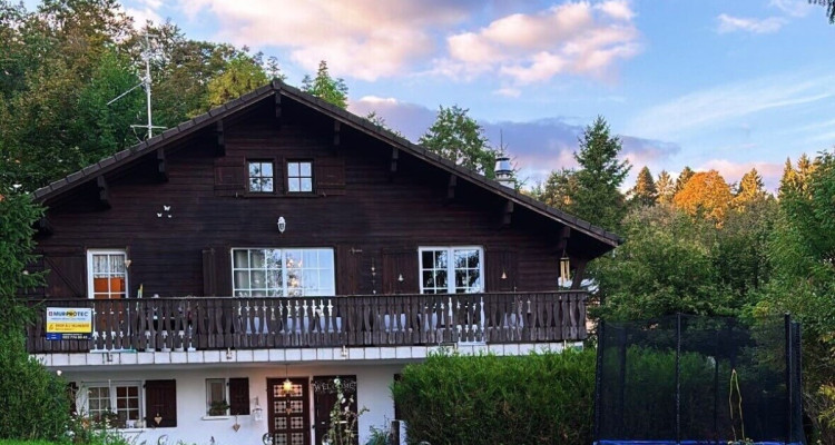 Chalet familial avec grand jardin image 3