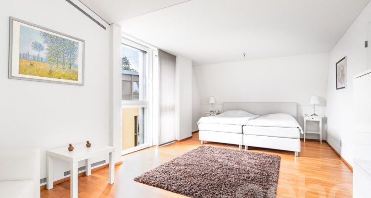 Attika-Maisonette mit Wintergarten, Dachterrasse und Einliegerwohnung image 8