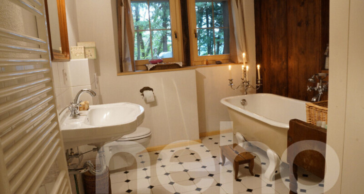 Un panorama grandiose, une propriété rare en pleine nature image 9