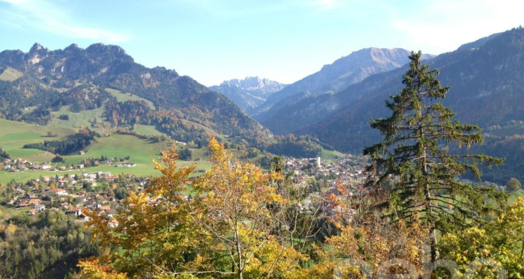 Un panorama grandiose, une propriété rare en pleine nature image 10