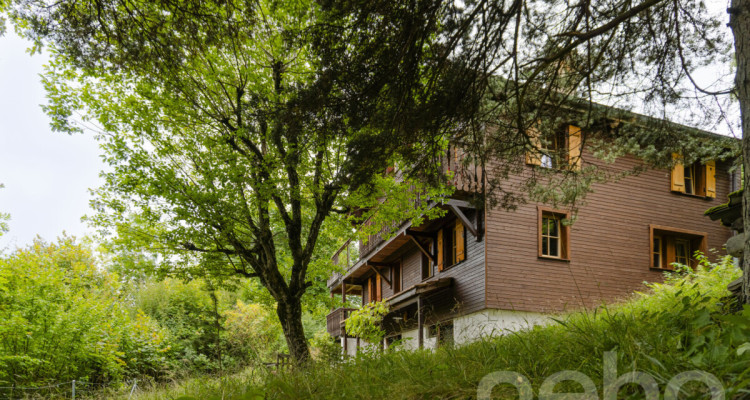 Un panorama grandiose, une propriété rare en pleine nature image 1