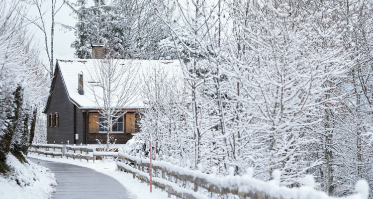 Un panorama grandiose, une propriété rare en pleine nature image 11
