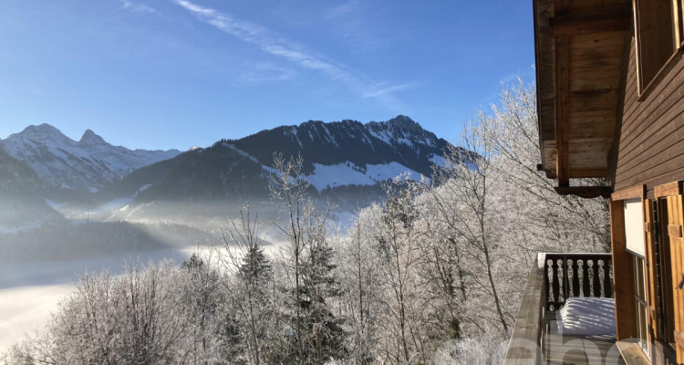 Un panorama grandiose, une propriété rare en pleine nature image 1